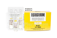 Testosterone Propionate Injection 1ml